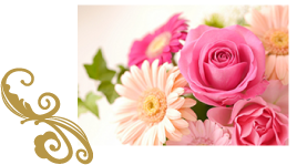 アイサロンレアの案内